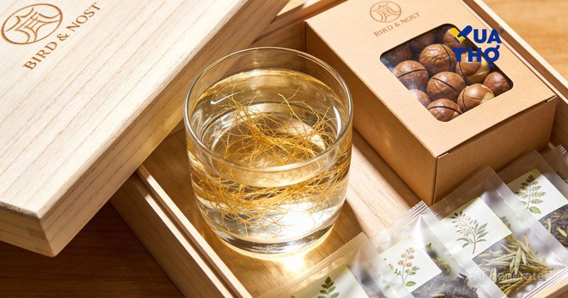 mẫu quà tết cho sức khỏe