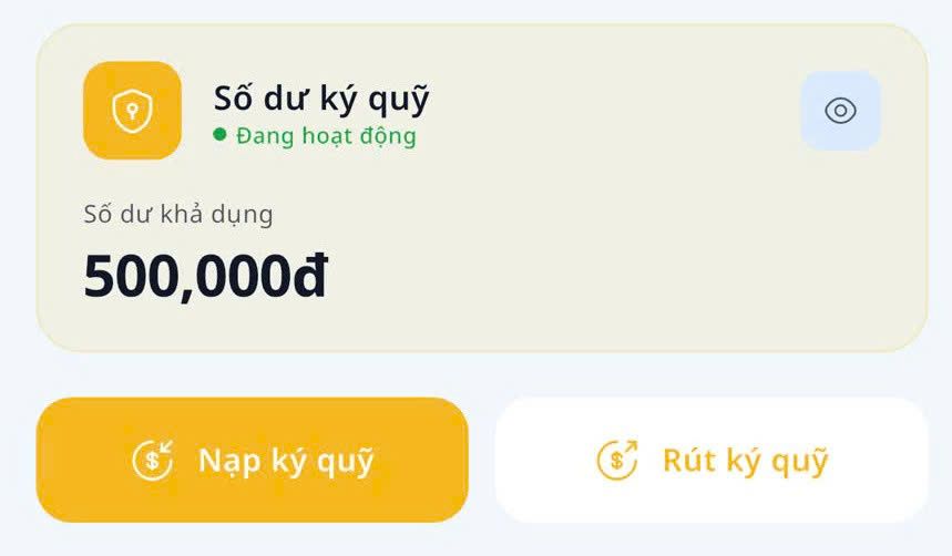 số dư ký quỹ
