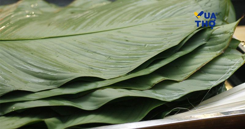 phân biệt lá dong nếp
